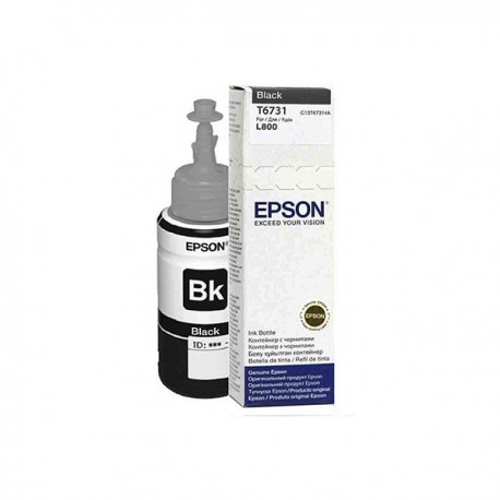 Epson C13T673100 Blank Ink