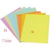 Manila Paper Folder A4 Beige/Blue/Green/Orange/Pink/Yellow/Gold Yellow