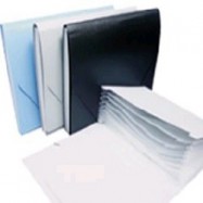 Database Plastic Expandable Wallet A4 12 Tabs Blue
