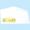 Envelope w/Window 4"x9" White Horizontal