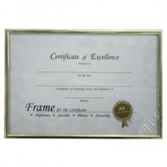 HK License Insurance Frame A4 Aluminum Frame Golden
