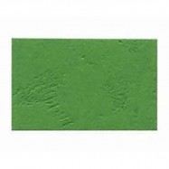 皮紋釘裝咭紙 A4 230磅 100張 綠色