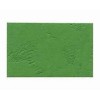 皮紋釘裝咭紙 A4 230磅 100張 綠色