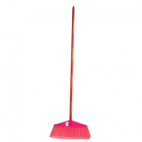 Plastic Screw Head Broom w/Handle Set