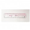 Plastic Ruler 6"