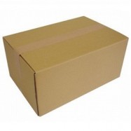 Carton Box 30"x19"x15" 2-Ply