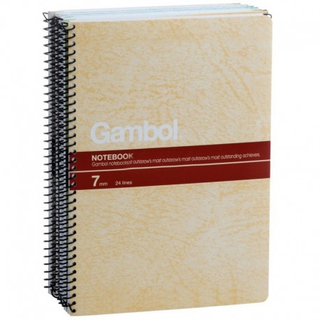 Gambol S5007 6"x8" A5 Ring Note Book 100pages