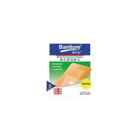 Banitore Multi Protective Plaster 53mmx72mm 5's Skin
