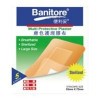 Banitore Multi Protective Plaster 53mmx72mm 5's Skin