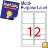 Smart Label CT-2544LC1 Multipurpose Labels A4 88.9mmx46.5mm 120's Clear